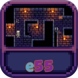 e55
